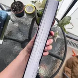 Ртуть, Самайн у ведьмы пограничья, Я, бабушка, Илико и Илларион 6