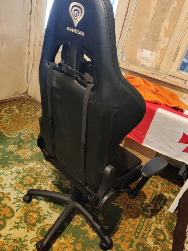 Игровое кресло Genesis с двумя подушками 2