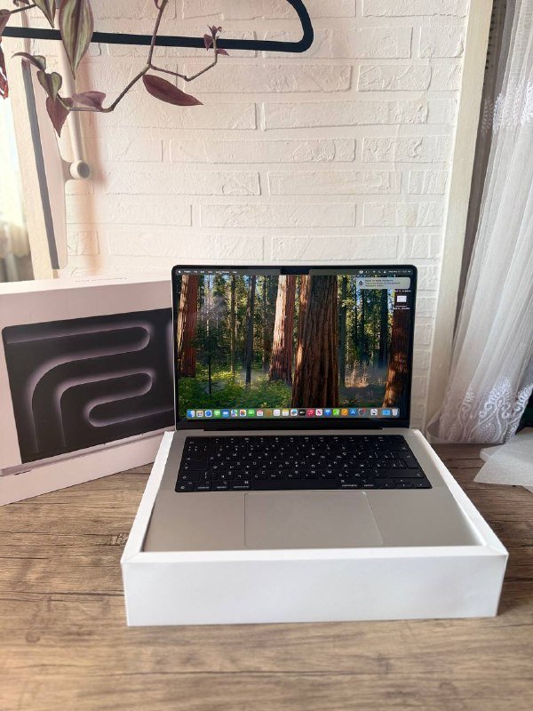 Macbook Pro 14 Inch 2024 M4 Pro 24 1 TB 5