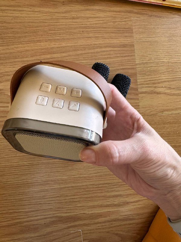 Детская беспроводная караоке система с двумя микрофонами 2