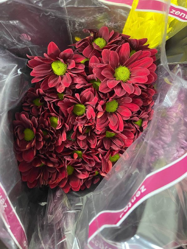 Хризантема одноголовая, кустовая, тюльпаны, эустома, букеты 7