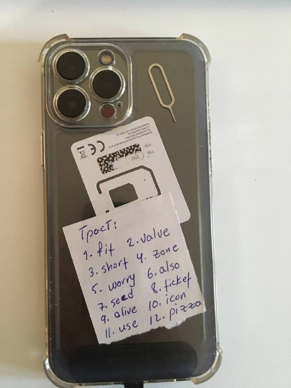IPhone 13 Pro Max 256GB 2