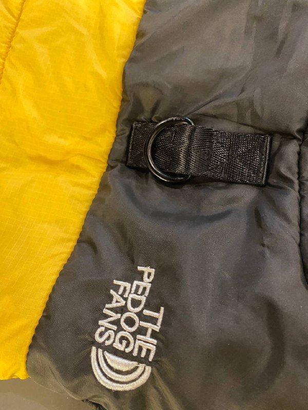 Куртка для щенка или небольшой собаки 3