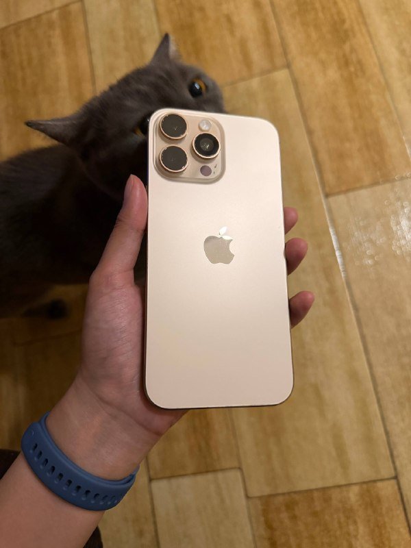 iPhone 16 Pro Max 256 GB 3