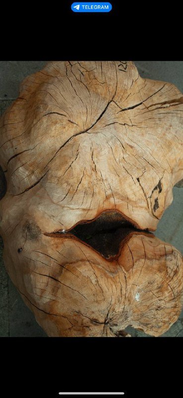 Деревянные изделия мастера: скульптуры и мебель 9