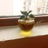 Декоративное яблоко 2