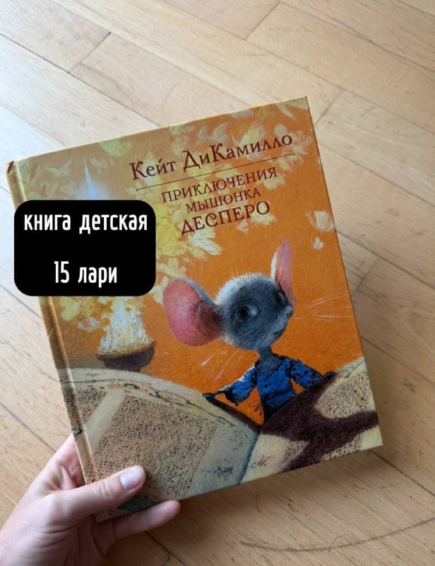 стопперы, шлепки, кроссовки, резиновые сапоги, панамка, подушка надувная, книга, чехол на чемодан, плащ 8