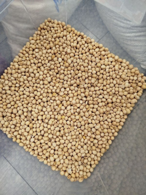 Веганские продукты и ингредиенты для выпечки и питания 4