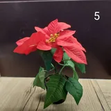 Напольная лампа 8