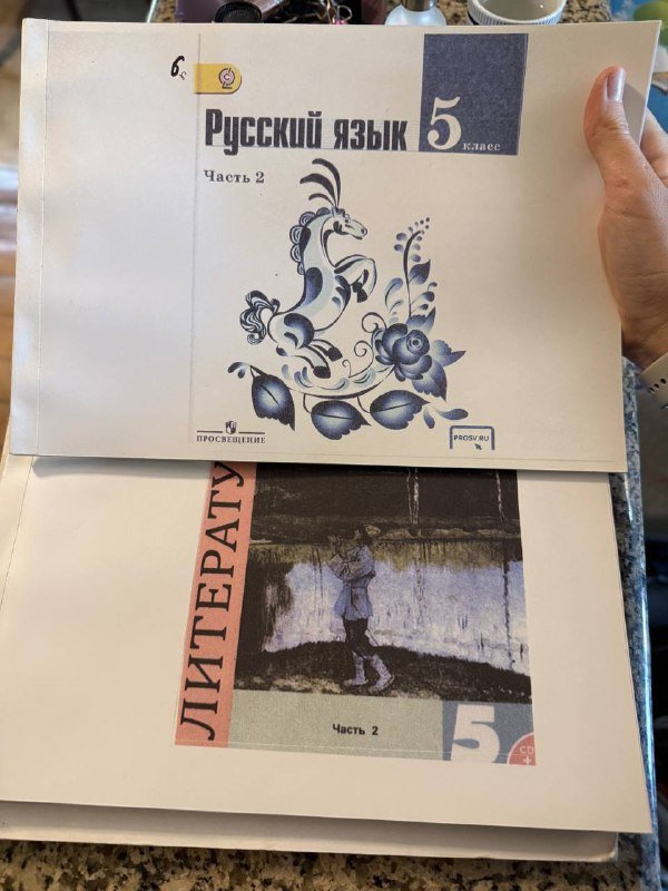 Русский язык и литература, четыре книжки