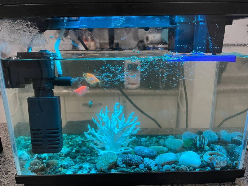 Аквариум с рыбками и комплектацией 1