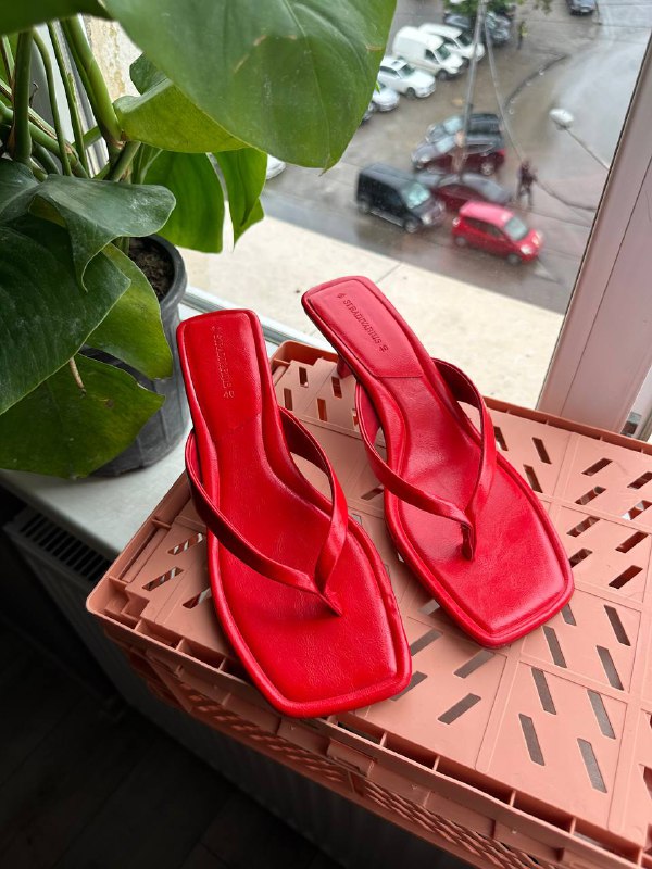 Книга, босоножки, балетки, сапожки 2