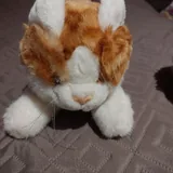 Мягкие игрушки заяц, кошка, дельфин, ёжик, медвежонок 4
