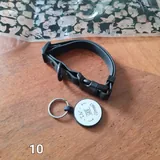 Поводок, переноска, ошейник, нейлоновый поводок 3