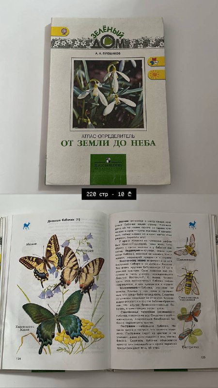 Книги, распечатки, карточки для дошкольников 6