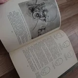 Книга по искусству 4