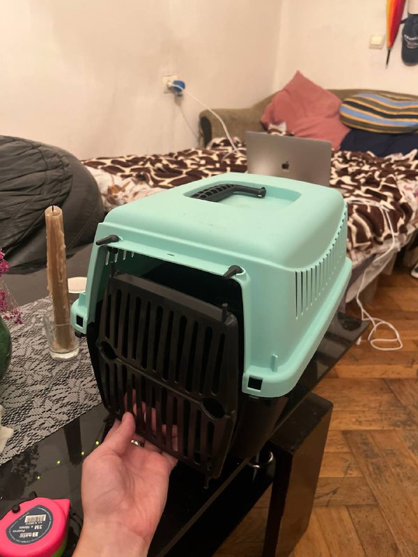 Переноска для кошки для самолета 2