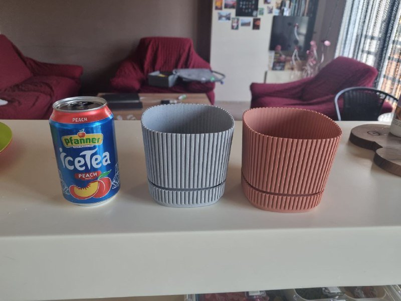 Сингониум, Каланхоэ, горшки, керамзит 6