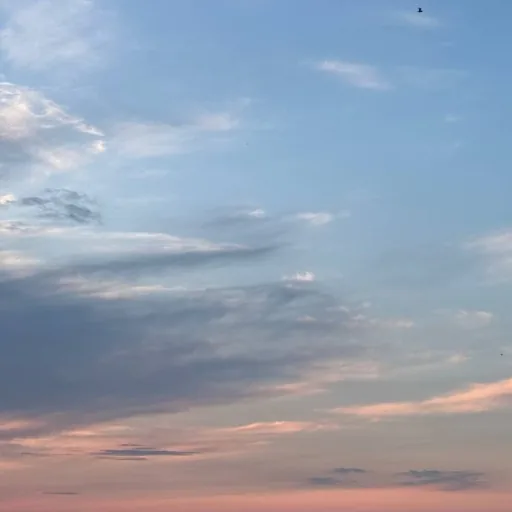 Бесплатная творческая фотосессия