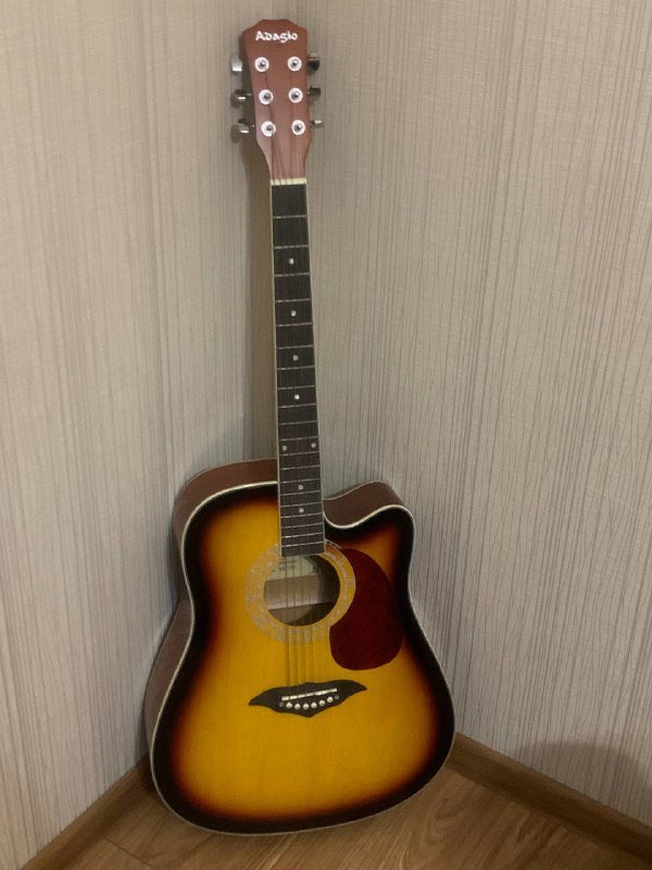 Акустическая гитара, чехол 2