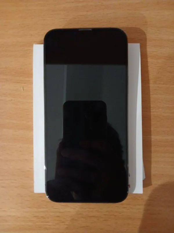 iPhone 13 Pro Max 512 GB 1