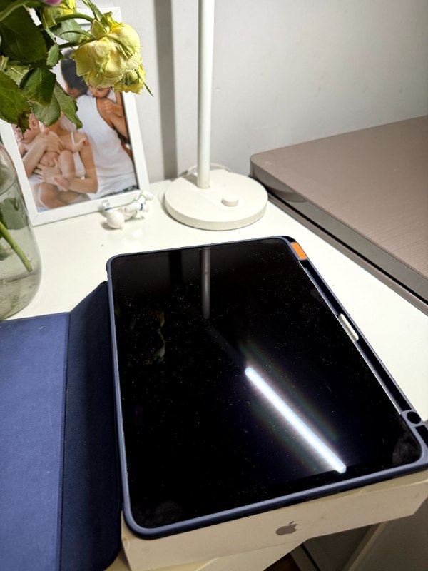 iPad Pro 11 M2 256GB с чехлом 4