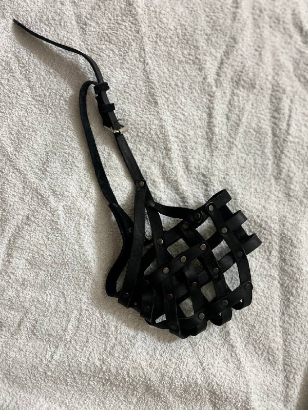 пластмассовая переноска для животного, намордник кожанный, поводок way dog, жилетка для собаки 2