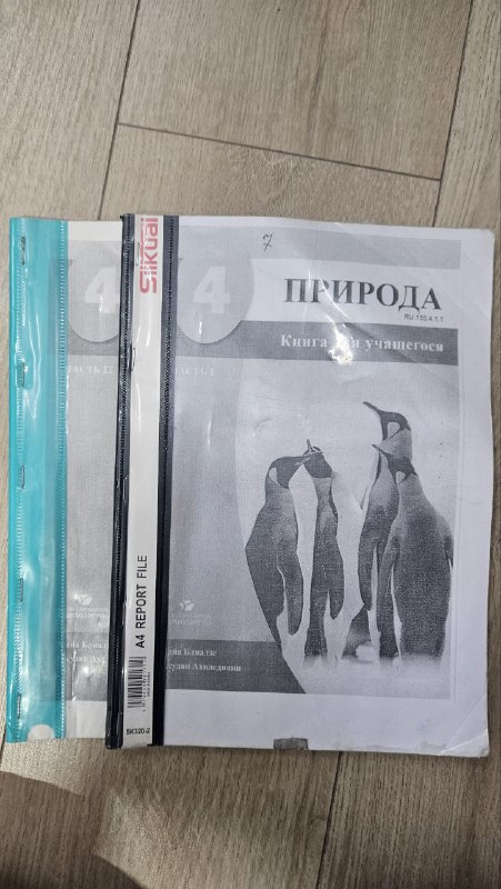 Учебники для 4 и 2 класса по разным предметам 4
