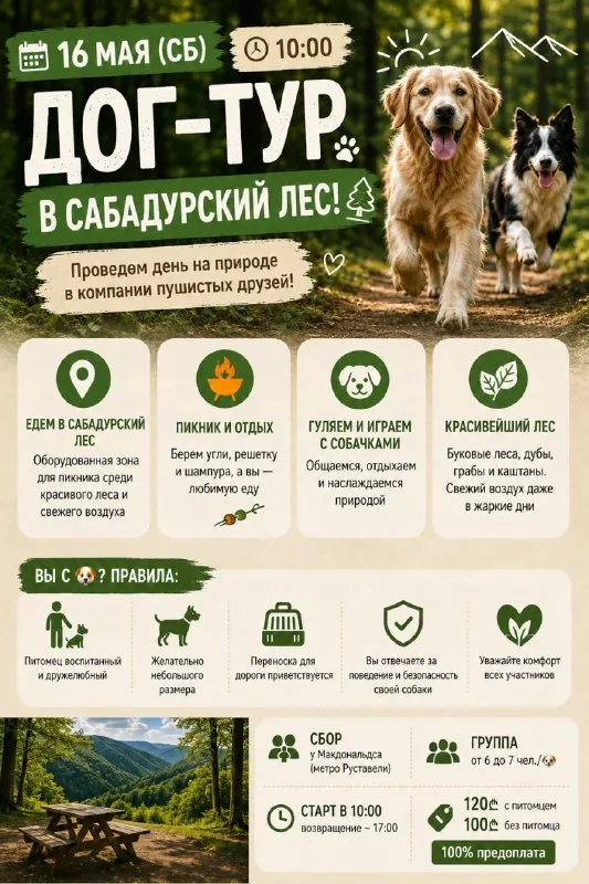 Дог-тур в Сабадурский лес 1
