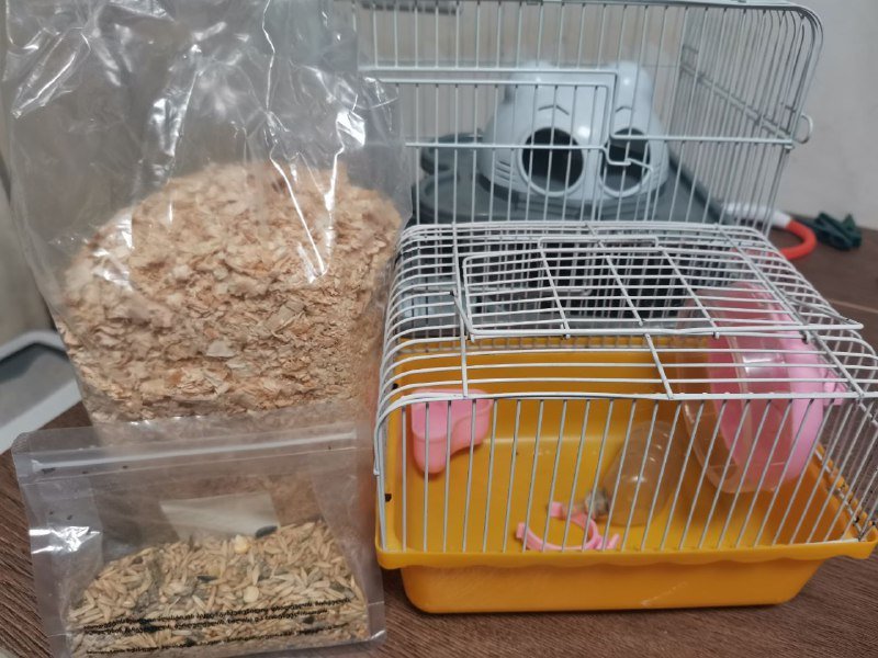 Клетка для грызунов с опилками и кормом 2