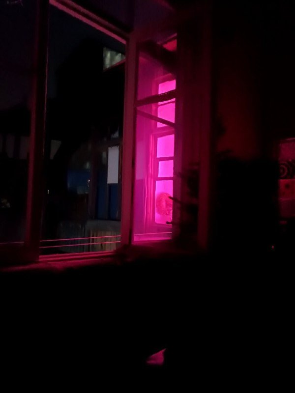 Неоновая полка с фитолампами ручной работы 2