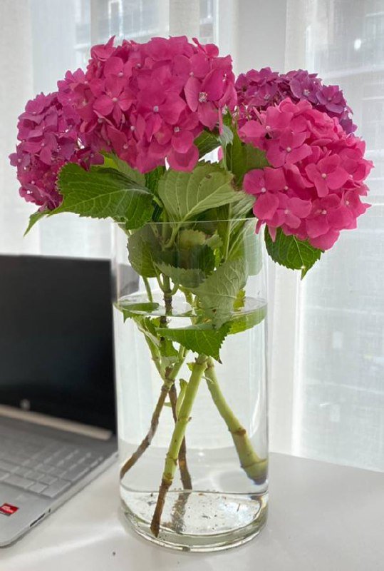 Ваза для цветов Jysk 2