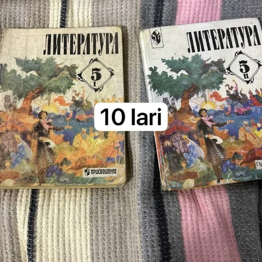 Учебники литературы и русского языка