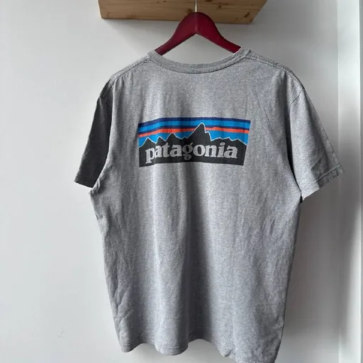 Футболка Patagonia