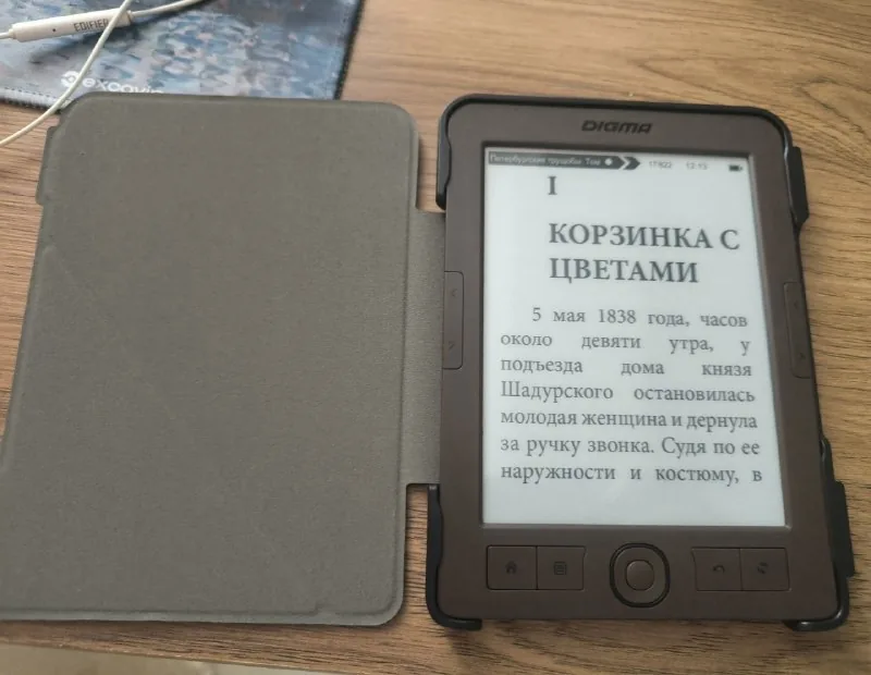 Электронная книга Digma E60C 1