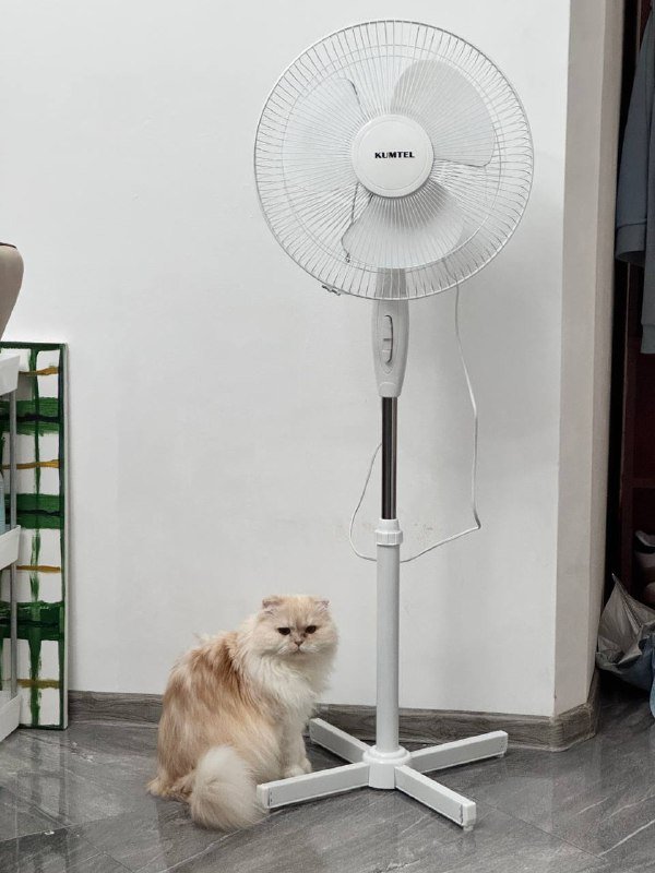 Напольный вентилятор KUMTEL