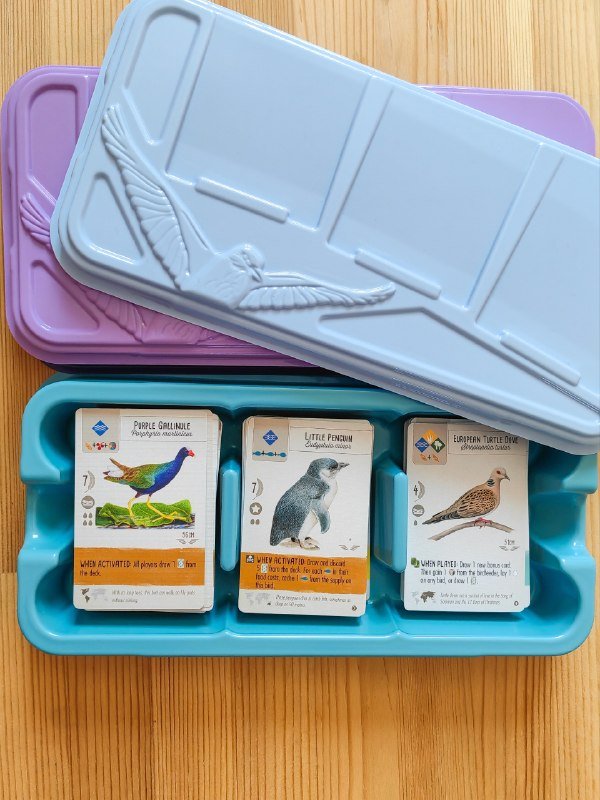 Wingspan настольная игра 4