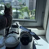 Кроссовки 2