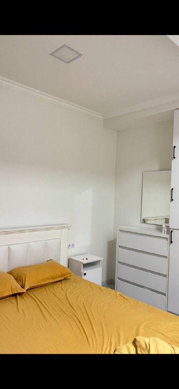 Rental apartment near Ahmeteli metro 5