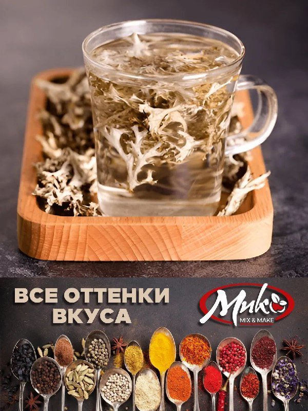 Исландский мох цетрария 6