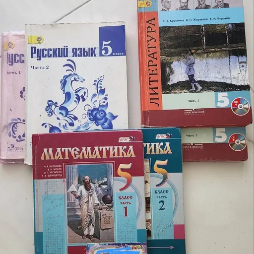 Учебники 5 класса русского сектора
