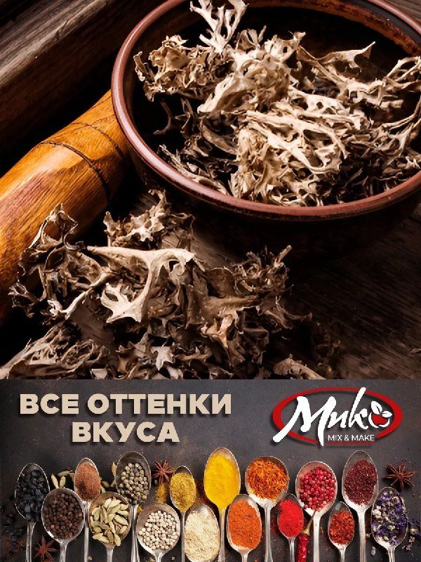 Исландский мох цетрария 7