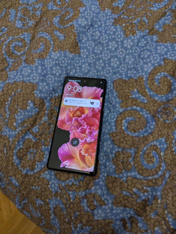 Google Pixel 6 5