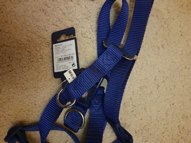 Шлейка, поводок, обувь для питомцев 6