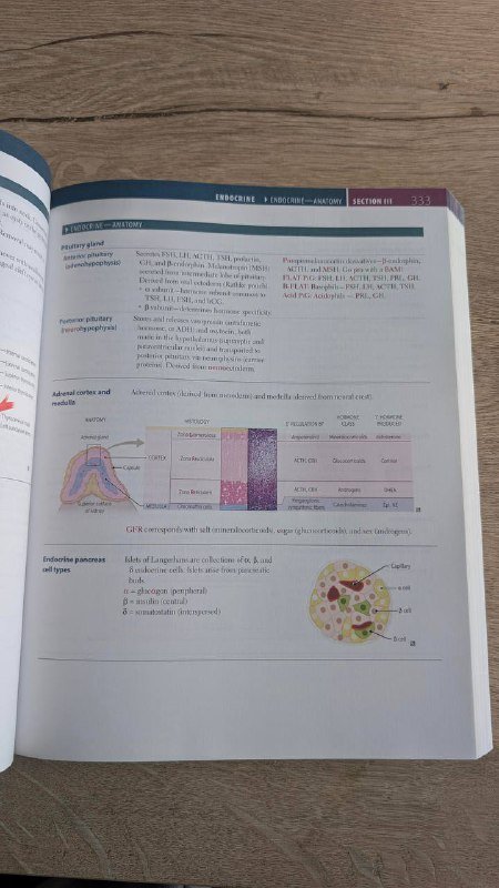 USMLE Step 1 International Edition 2022 Guide 2