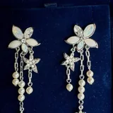 Оригинальные серьги Swarovski 1