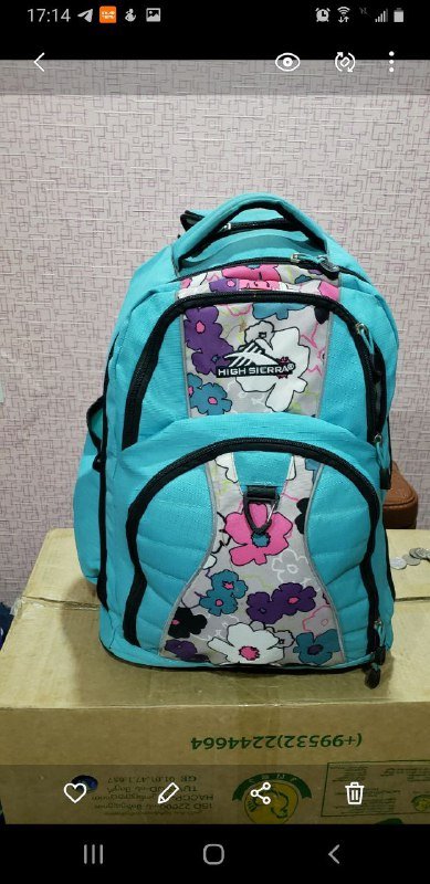 Чемодан-рюкзак для путешествий и школы