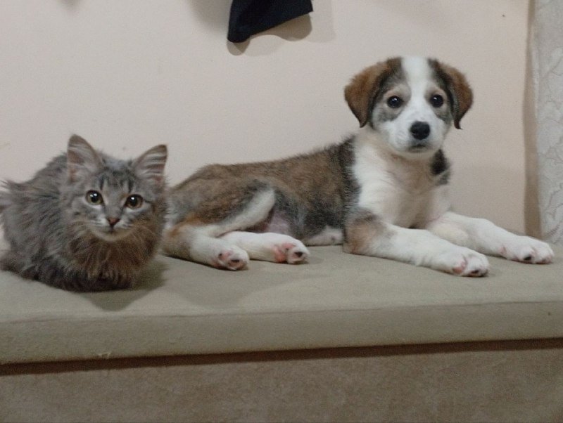 Подвеска Украина от Belaruskicry 3