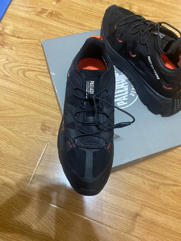 Palladium sneakers 2