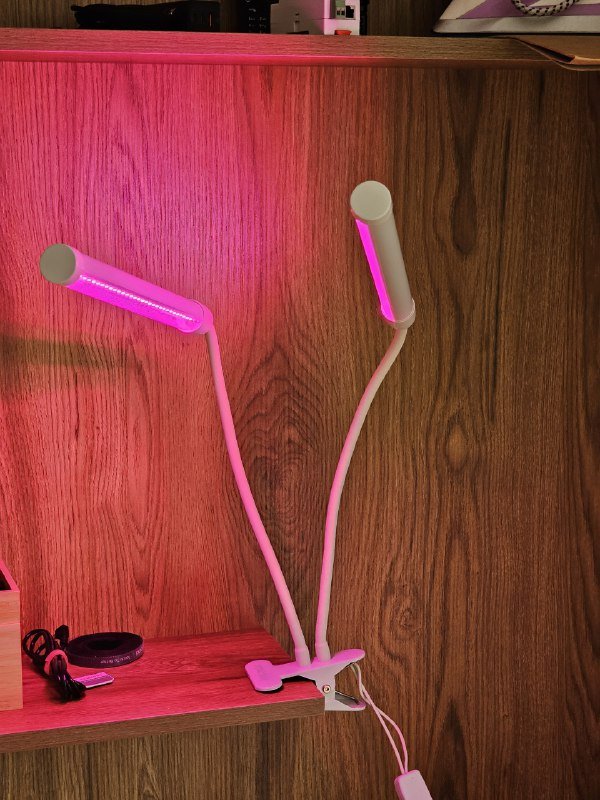 Фитолампа на прищепке 2